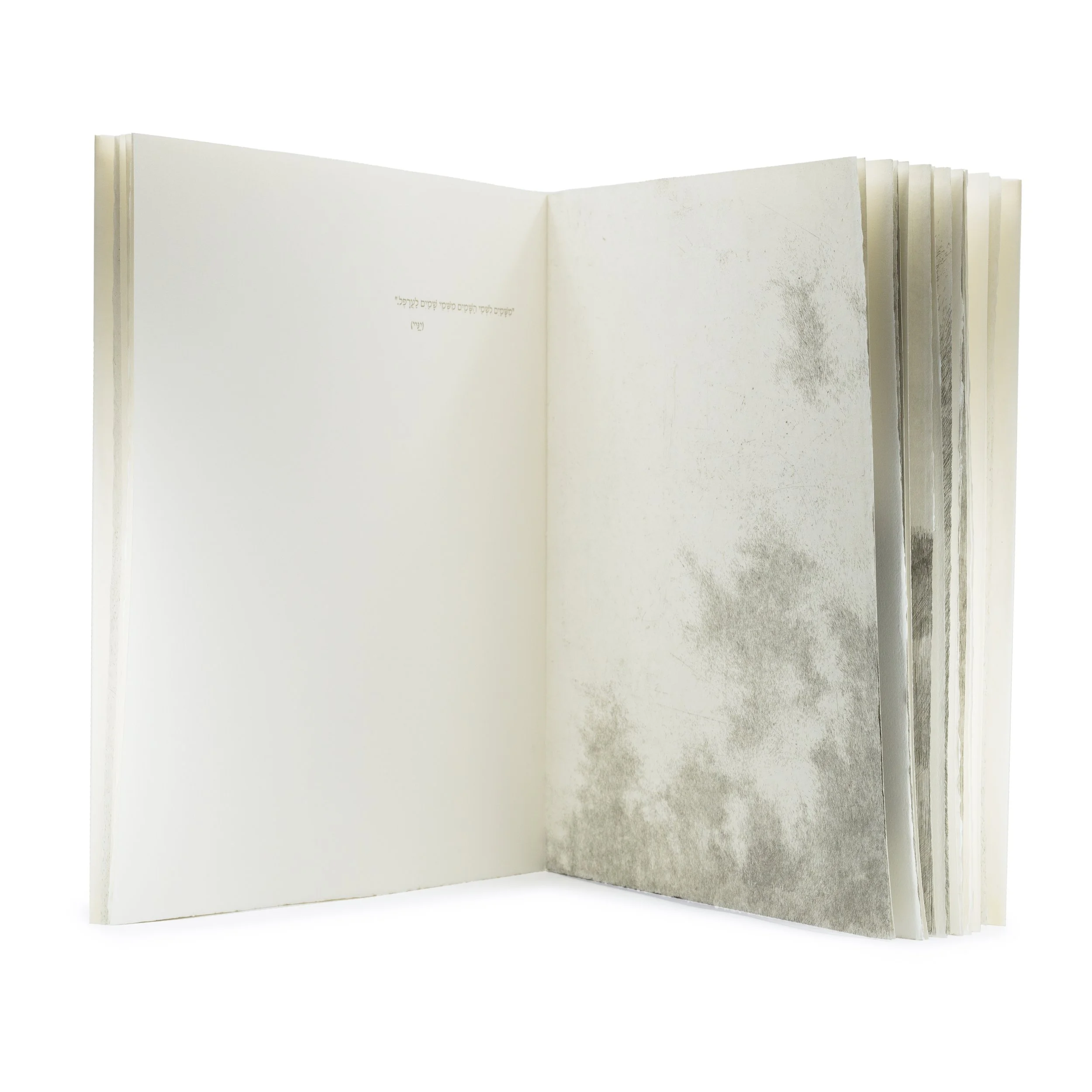 457_洋書/絵本「Whose Footprints?」 Whose Footprint Is That? (Whose Is THAT?): Lunde, Darrin, Oseid